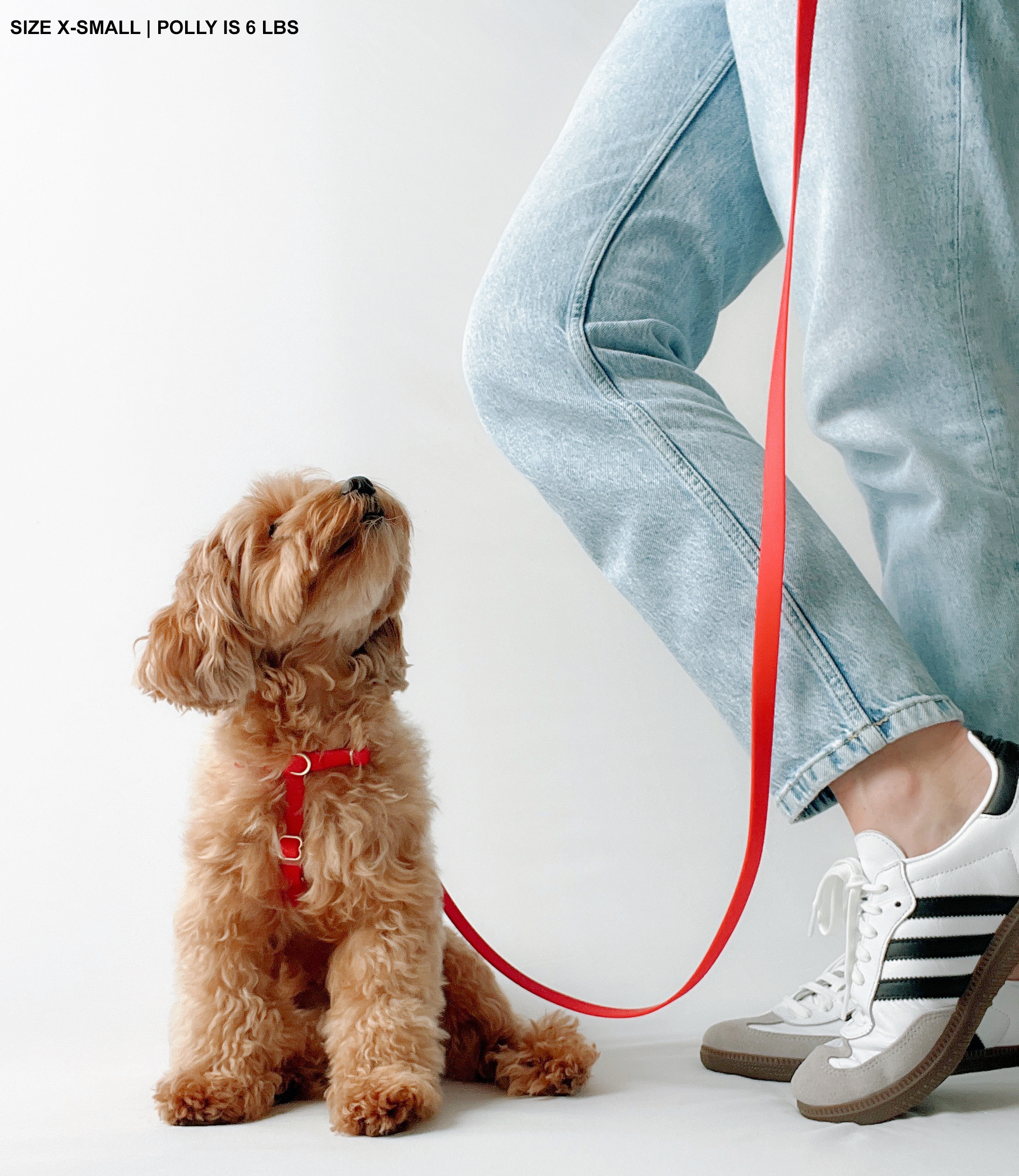 SUNNY TAILS - Wholesale Pet Harness - Dog - Cherry Red Cloud Lite Dog Harness13