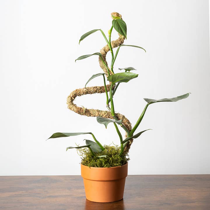 SuperMoss - Wholesale Garden Tool - The SuperMoss Bendable SuperPole.1