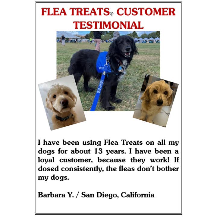 Flea Treats - Wholesale Pet supplement – Cat/dog - Flea Treats 100 Ct Vitamin B-Complex Supplement Dogs & Cats6