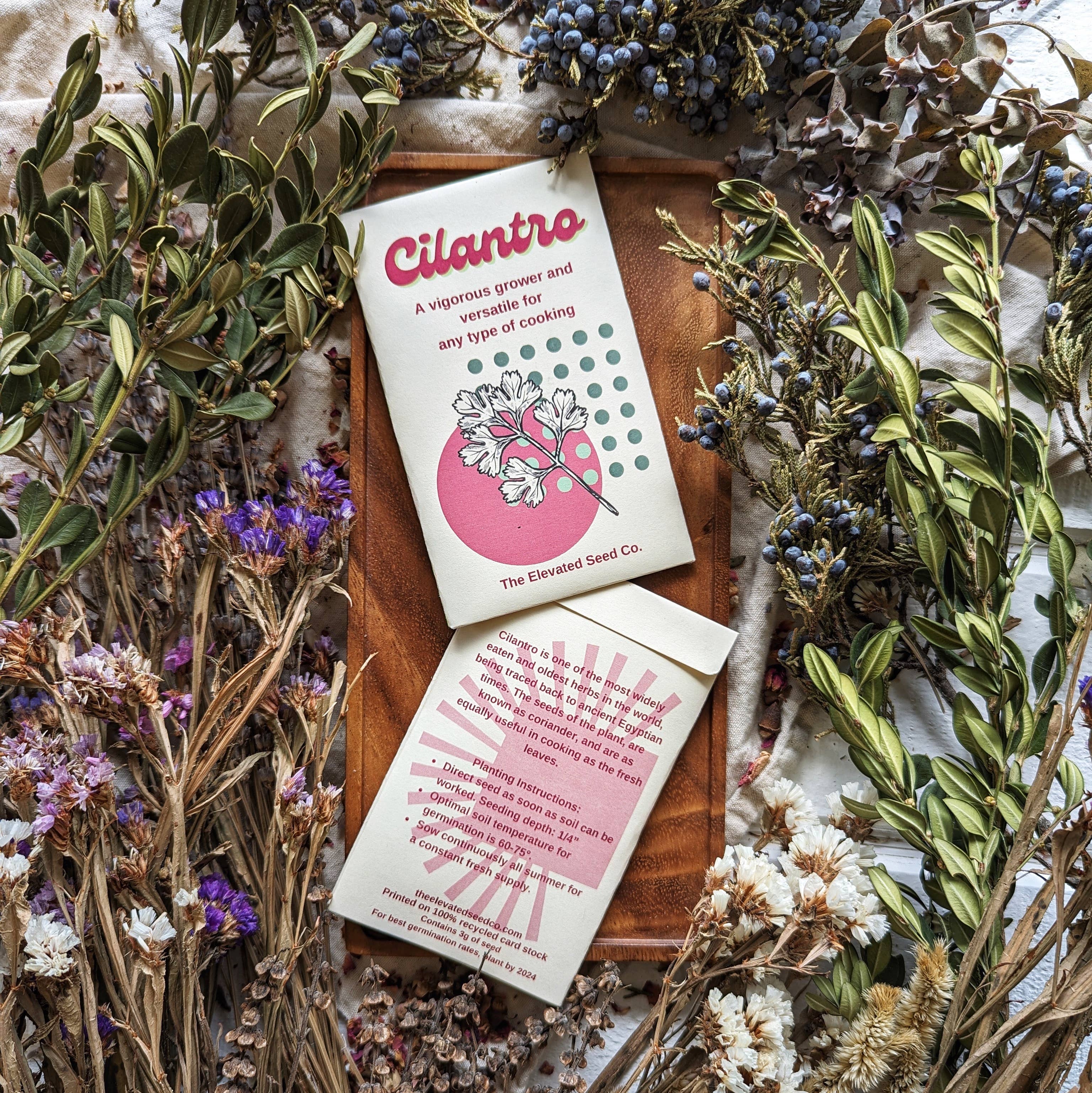 The Elevated Seed Co. - Wholesale Plant Seeds - Cilantro Garden Seeds