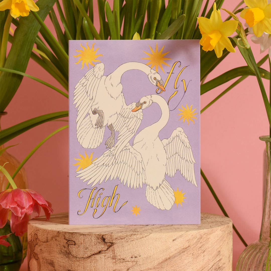 Printer Johnson Ltd - Wholesale Everyday Greeting Card - Fly High | Everyday greetings card | Good luck2