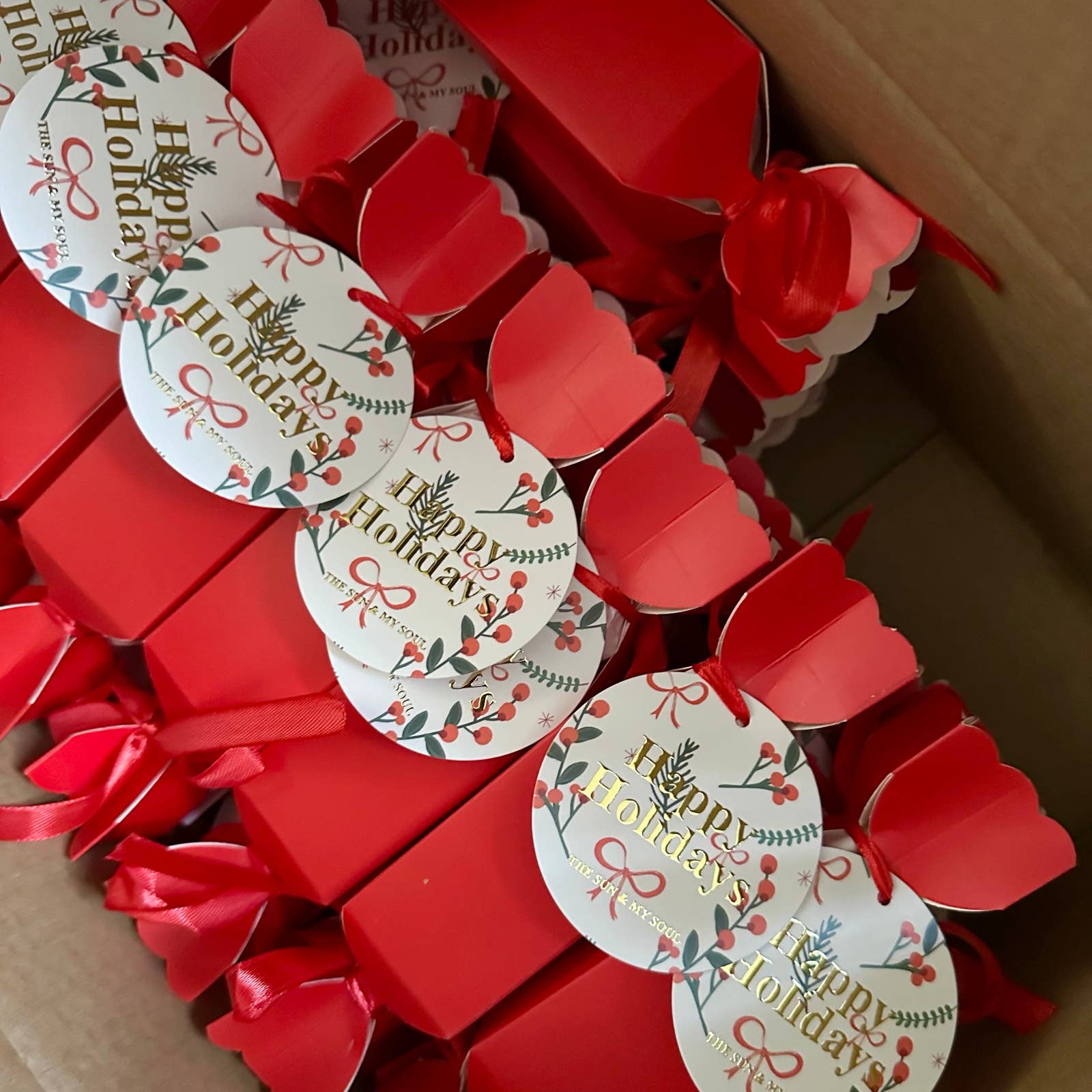 The Sun & My Soul Bath Bomb Soak Wellness Gifts - Wholesale Bath Bomb/Fizz - Happy Holidays Christmas Cracker Bath Bomb Gift⎜Raspberry2