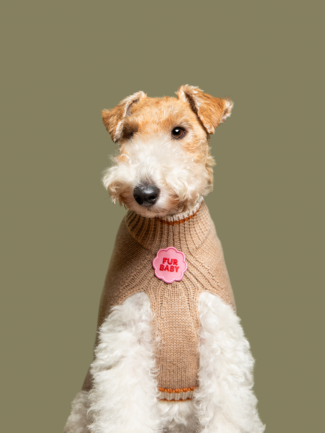 Scout's Honour Pty Ltd - Wholesale Pet Bandana - Dog - Fur Baby iron-on patch for dogs and cats1