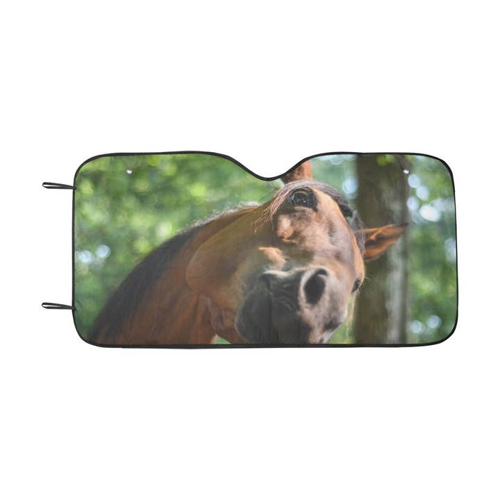 Zonnekap van Howdy Horse voor wholesale door Pioneer Kitty Market