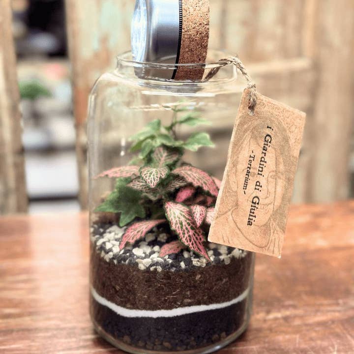 I Giardini Di Giulia - Vendita all'ingrosso Terrari - Terrarium Lumina
