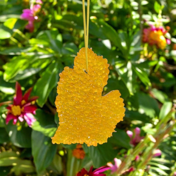 Pic's & Wic's LLC - Wholesale Car Freshener - Unisex - Monkey Farts - Michigan Mitten Air freshener
