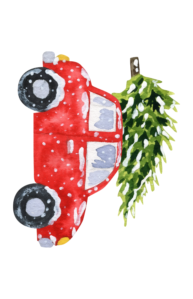 Fripperies - Vendita all'ingrosso Biglietti di auguri di Natale - Auto con albero di Natale | Minikaart Fripperies0