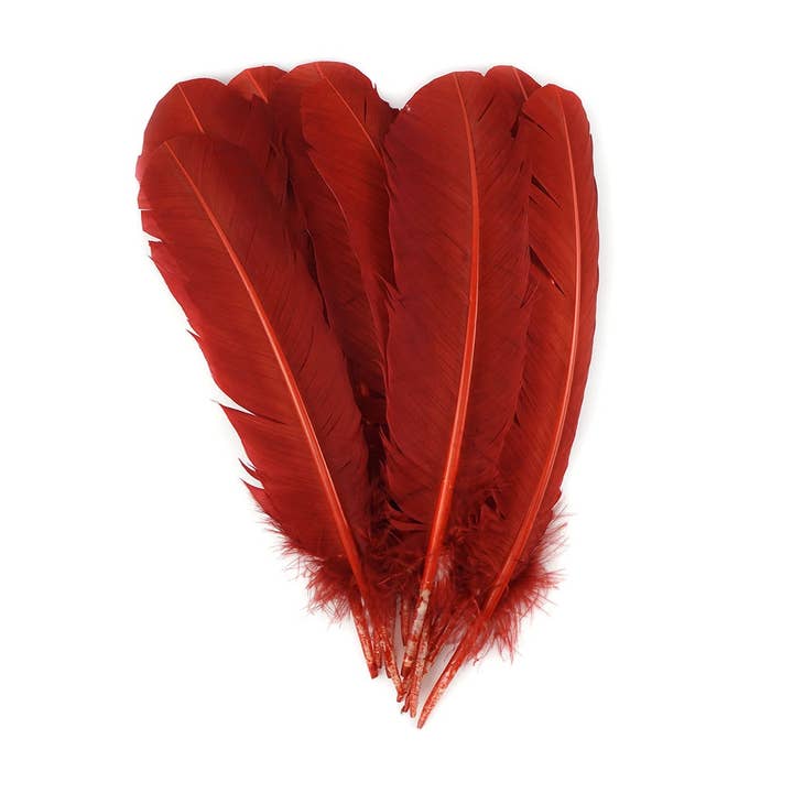 Truthahnfedern pro Pfund - Linker Flügel - Rost für den Großhandel von Zucker Feather Products