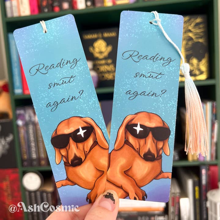 Reading Smut Bookmark With Tassel for wholesale by Ash cosmic