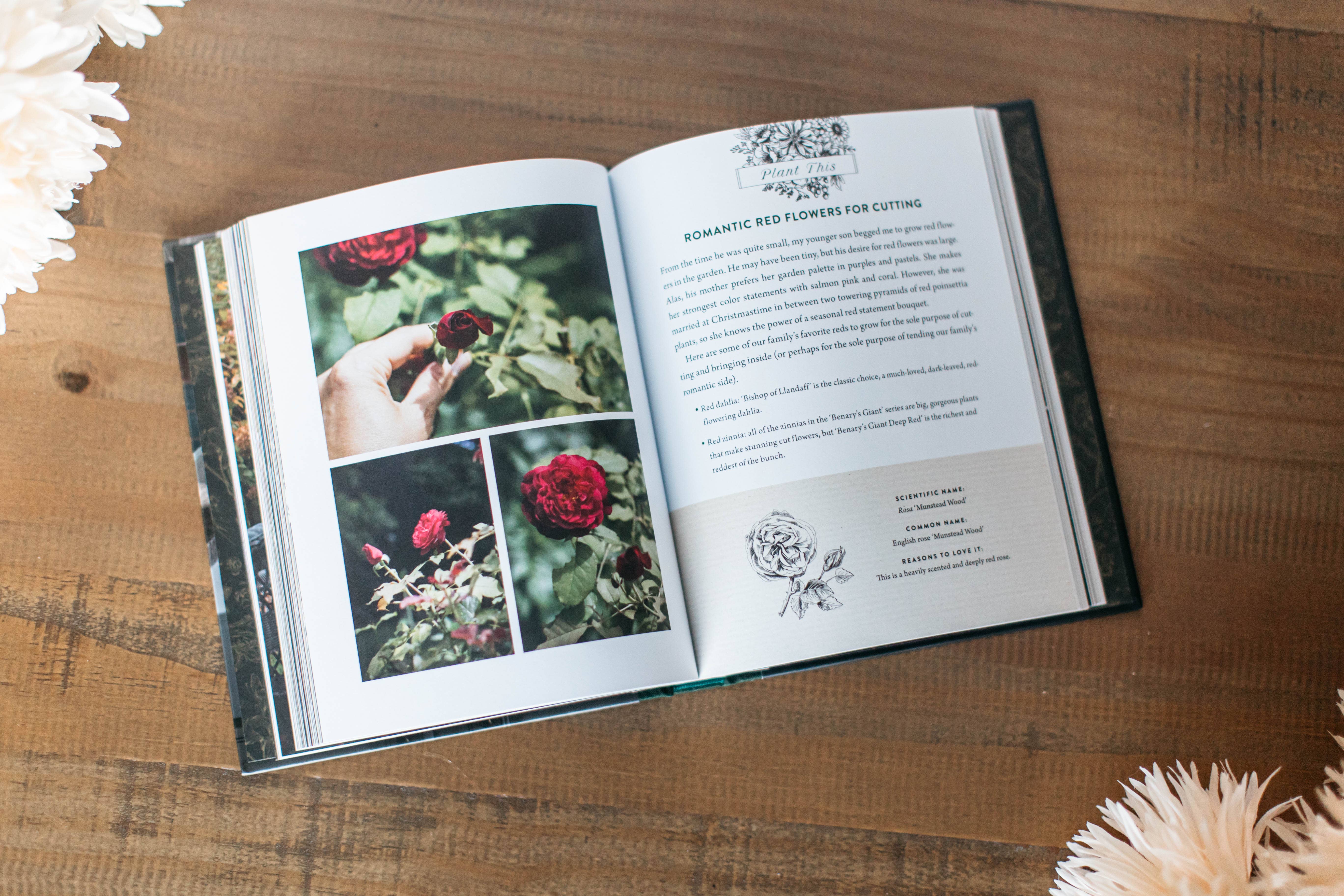 Harvest House Publishers Gift & Specialty Books - Wholesale Home & Garden - A Home in Bloom10