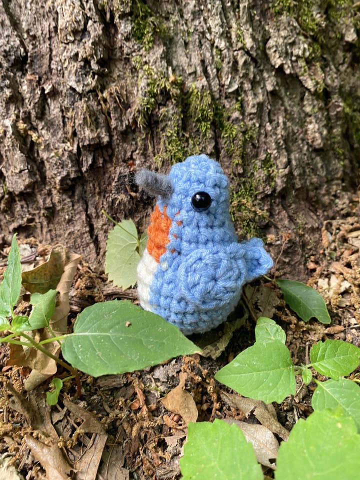 Bluebird for wholesale by Meadow Emporium