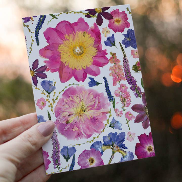 Pink Peony - Pressed flower collection card PRINT for wholesale by Eight Acorns Floral Preservation
