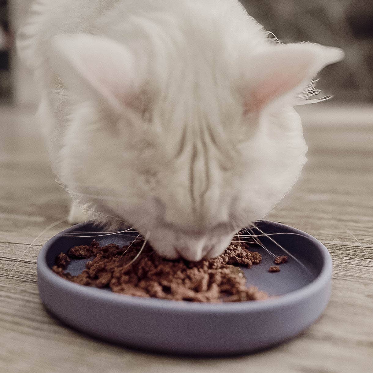 ne&no - Wholesale Pet Bowl - Cat/Dog - ne&no® Cat Silicone Feeding Bowl: whisker-friendly15