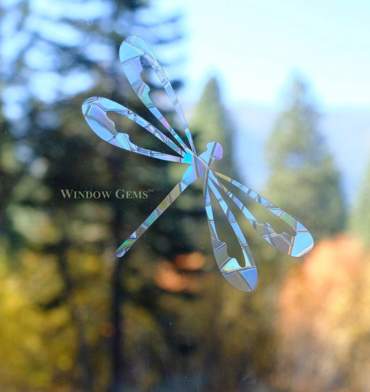 Window Gems - Wholesale Suncatcher - Dragonfly Window Clings - Bird Strike Warning Decals - Prism2