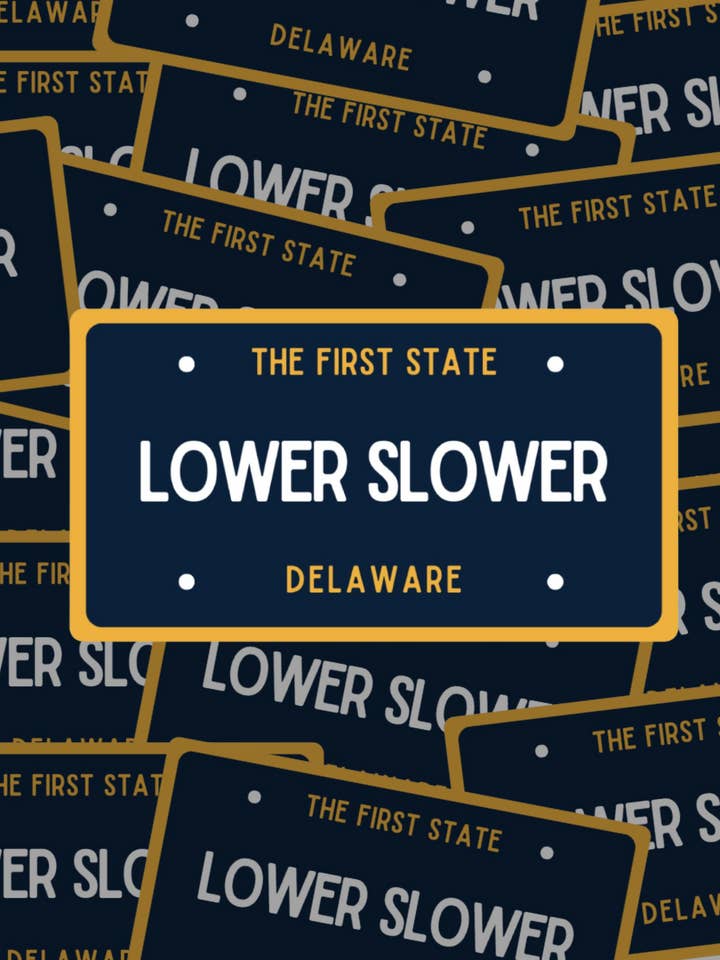 LOWER SLOWER DELAWARE Sticker for wholesale by kash co studio