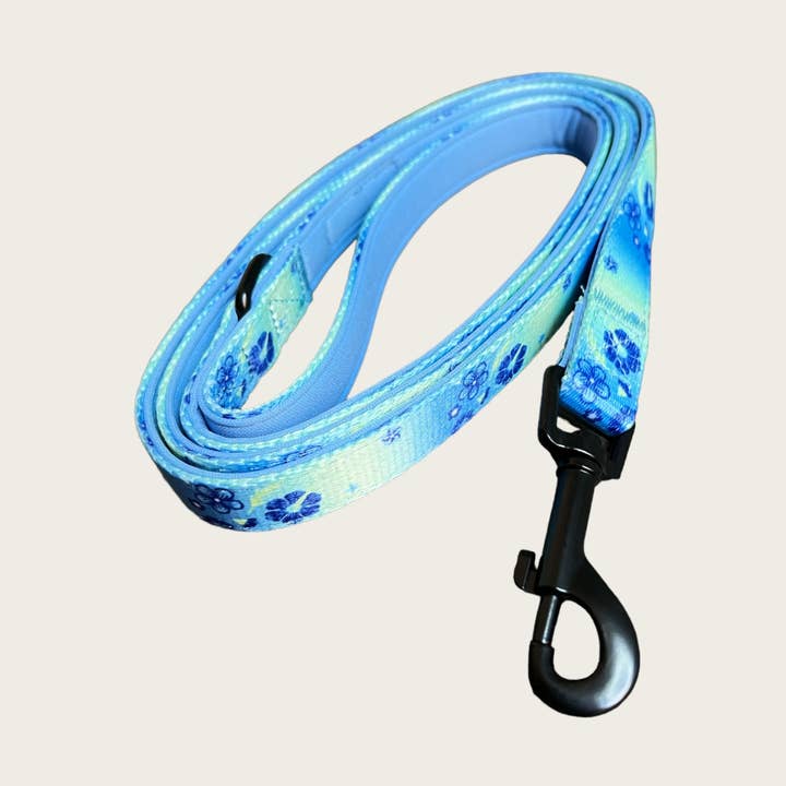 Laisse bleue Flower Power pour la vente par Piggy Pet