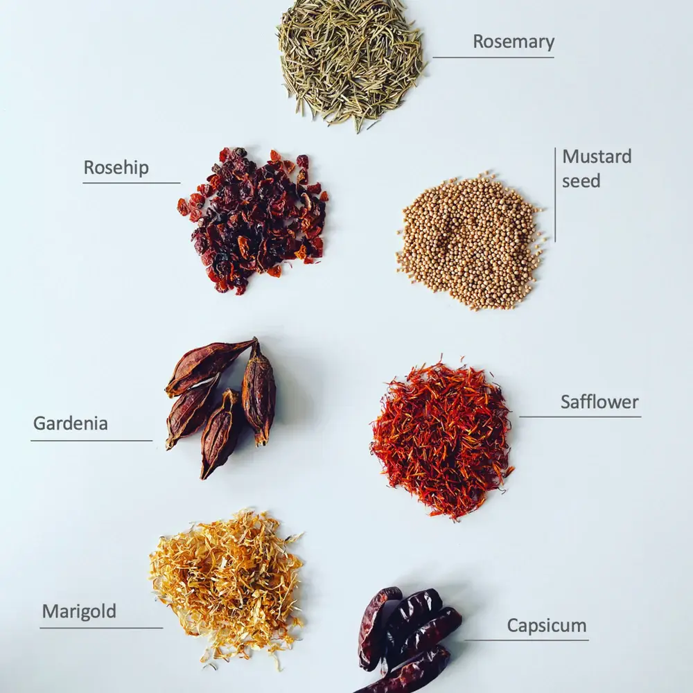 Japacolle — Japan Collections | See Latest News in "About" - Wholesale Bath/Body Oil - ESSENTIAL HERBAL BATH - MELLOW DOWN -2