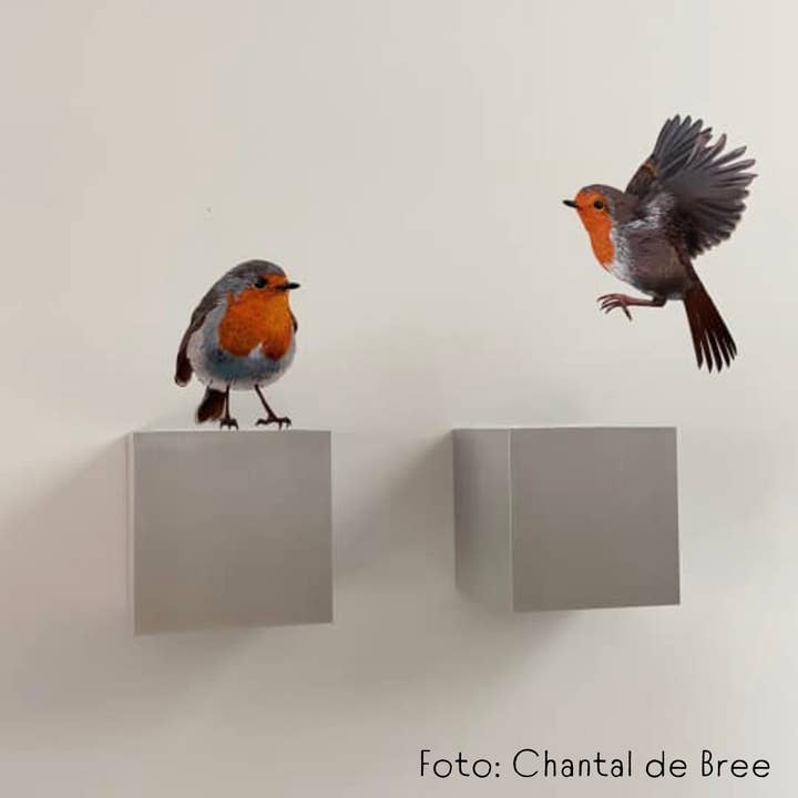 MYRTE - Vente Autocollant mural - Autocollant mural Illustration Robin10