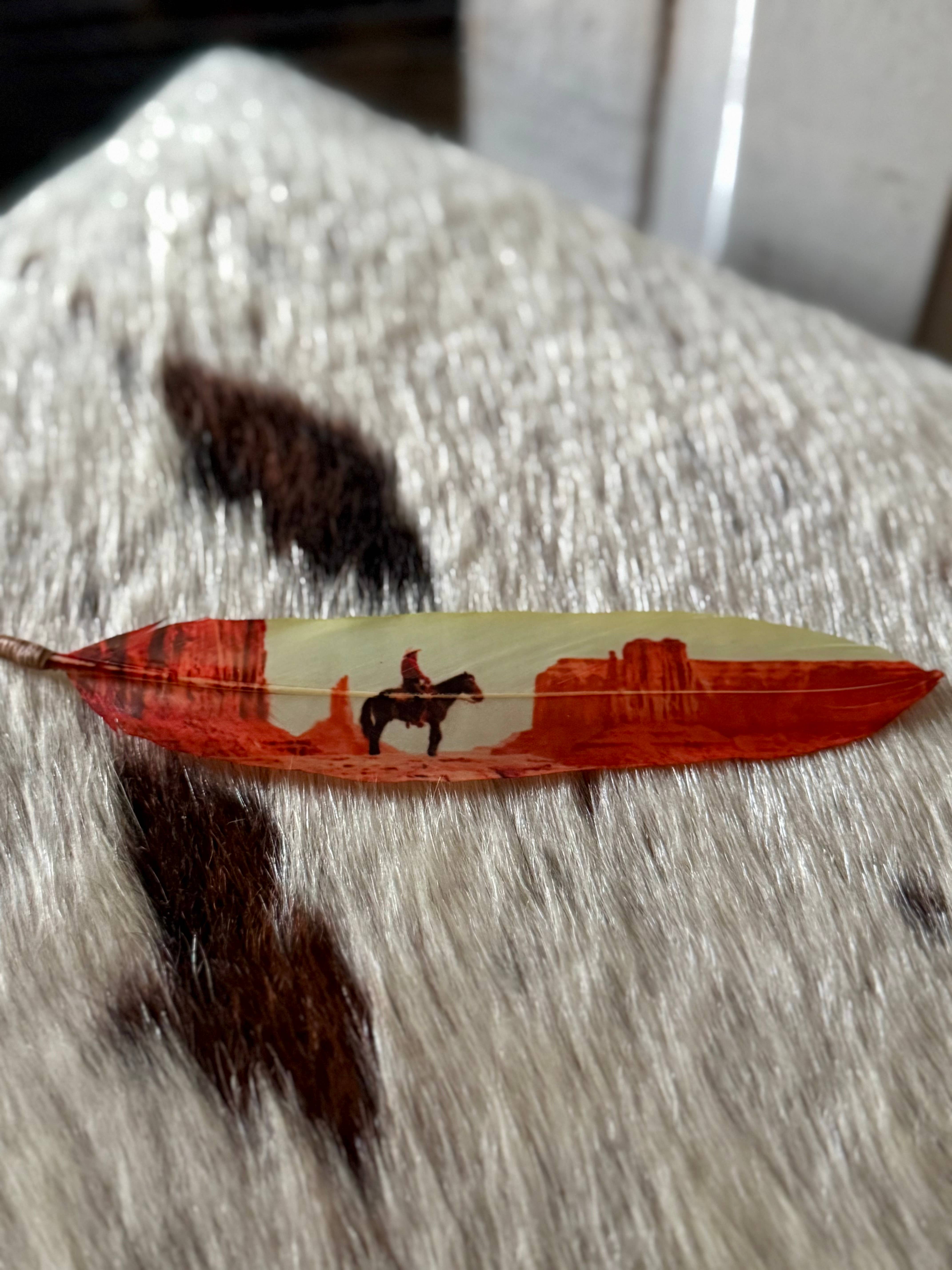 Buckaroo Supply Company - Wholesale Hat Accessory - Women's - Desert Cowboy Hat Feather - Western Hat Accessory1