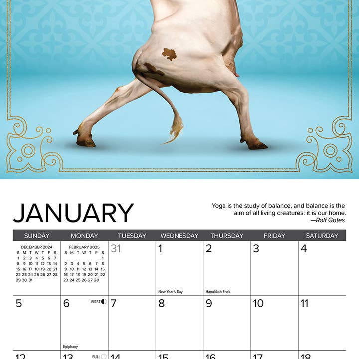 Willow Creek Press & Gifts - Wholesale Calendar - Cow Yoga 2025 Mini Wall Calendar