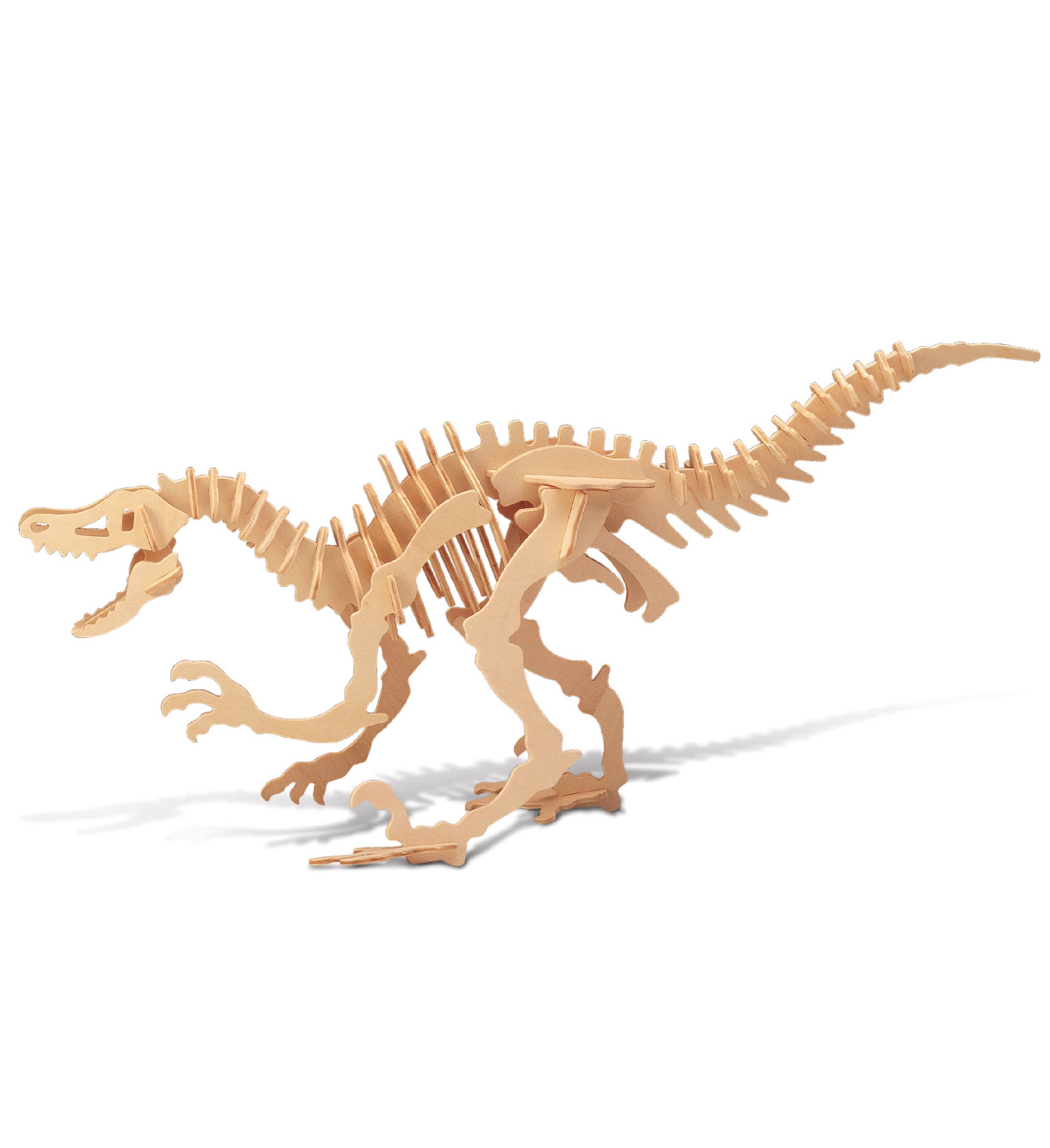 Cota Global - Wholesale Puzzle - Kids - 3D Puzzles - Velociraptor0