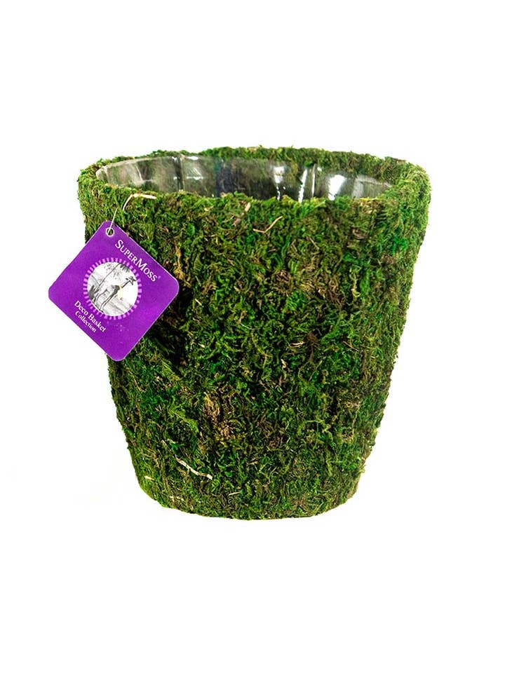 Tulare Deco Basket, Fresh Green, Medium for wholesale by SuperMoss