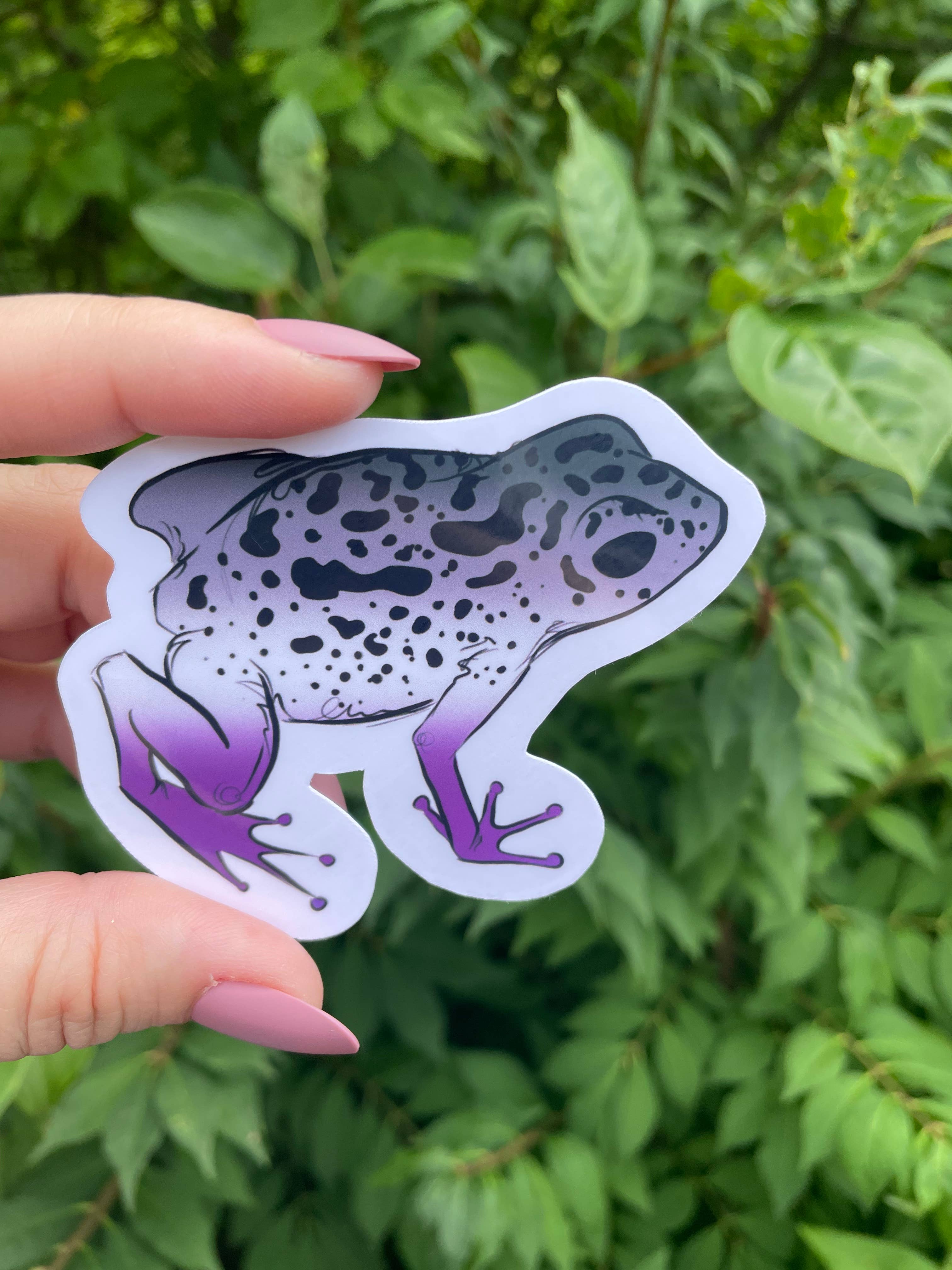 A Dresser Drawer - Wholesale Sticker - Poison Dart Frog Sticker5