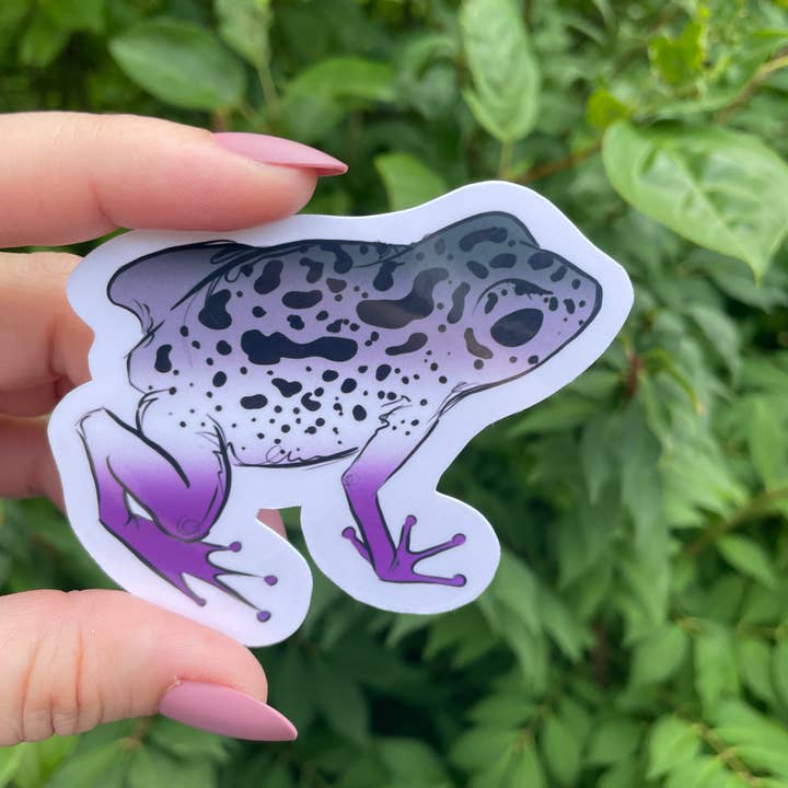 A Dresser Drawer - Wholesale Sticker - Poison Dart Frog Sticker5