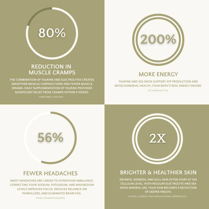 Kaizen – Engroshandel Pulver til sunhedsdrik – Kaizen Hydration - Premium Økologiske Elektrolytter med Havmos og Taurin3