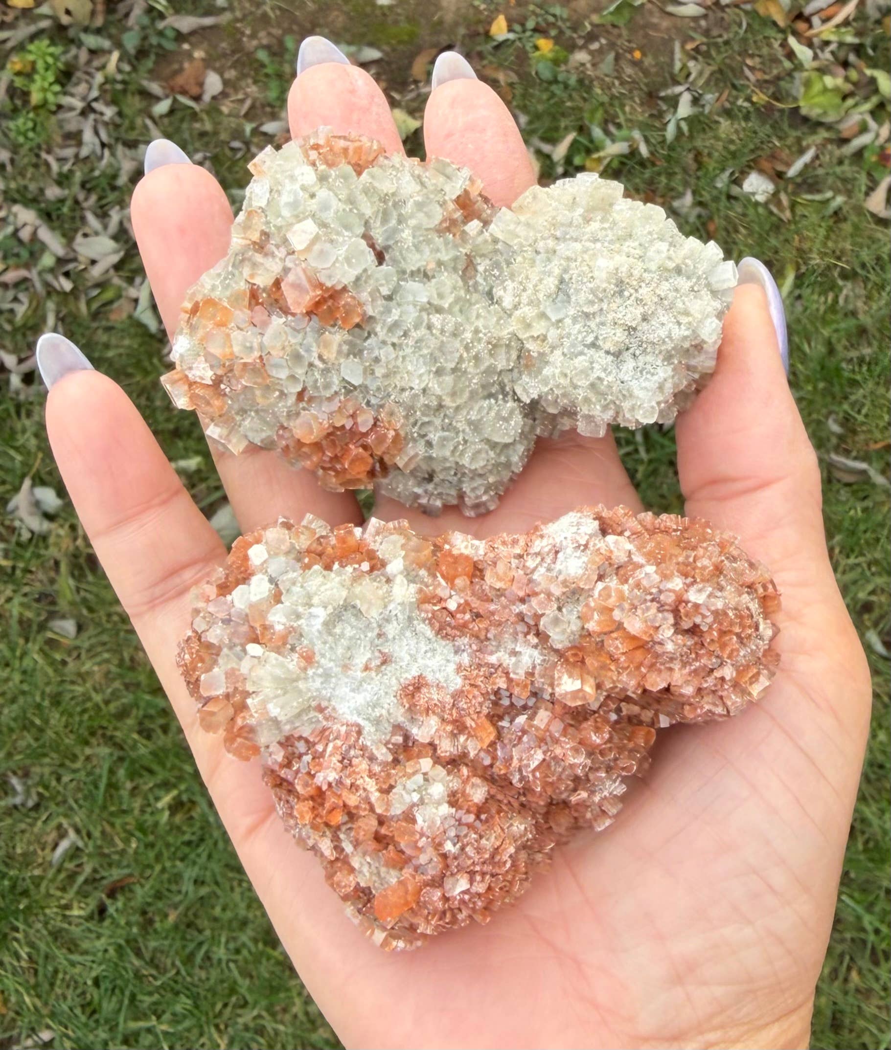 KayleeNYC - Wholesale Spiritual Stone/Crystal - 2 lbs Natural Aragonite Cluster Raw Crystal7