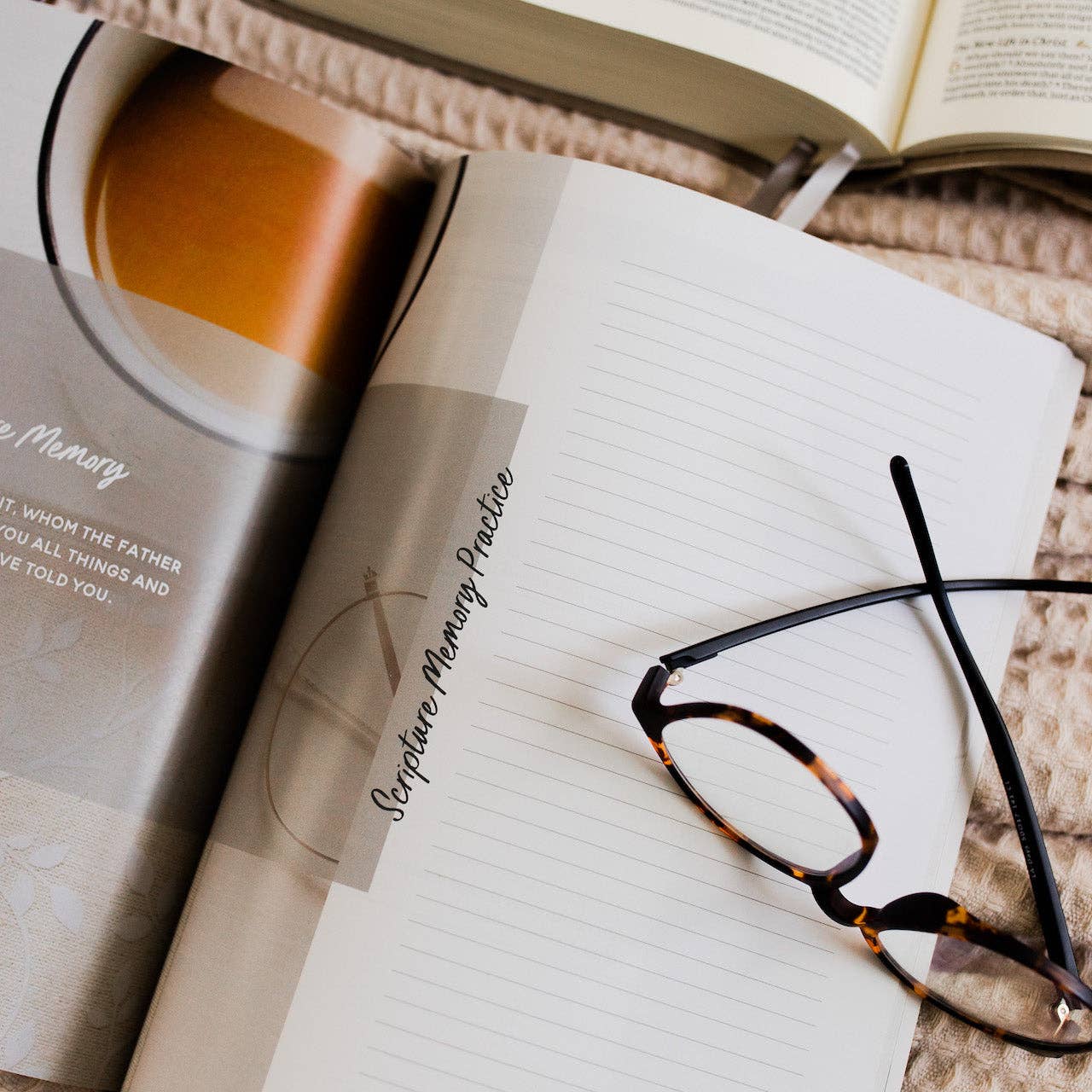 The Daily Grace Co - Wholesale Religion - Faith Foundations | A Study on the Basics of Christianity6