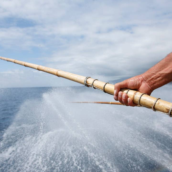 Portugalia Imports - Wholesale Tinned Fish - Santa Catarina Gourmet Tuna Fillets with Thyme and Olive Oil3