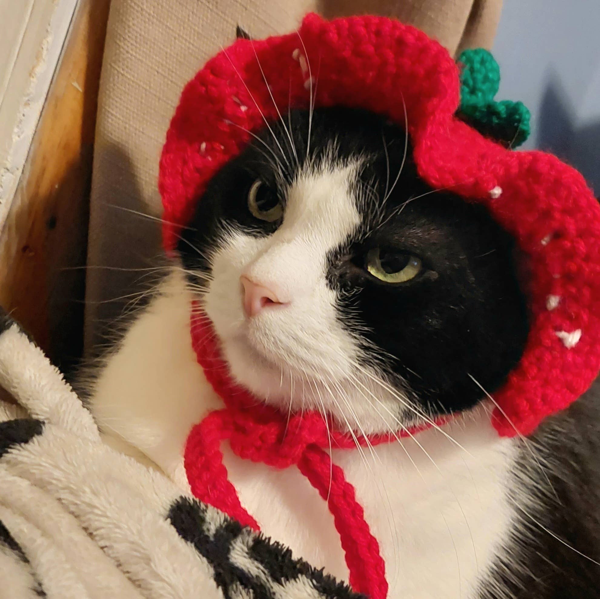 Glitter Ghost Clothing and Accessories – Engroshandel Hundehat - Hund – Hæklet Jordbærhue - Kattehjelm - Pet Hat13