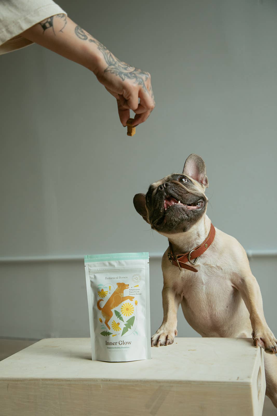 Botanical Bones - Wholesale Pet Treats - Dog - Inner Glow Cookies - All Natural, Organic Dog Treats 5