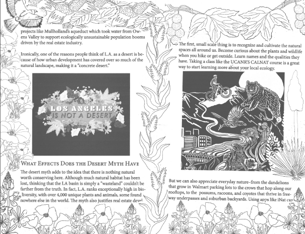 LA Is Not A Desert – wholesale Bok för tonåringar och unga vuxna – LA är inte en öken zine3