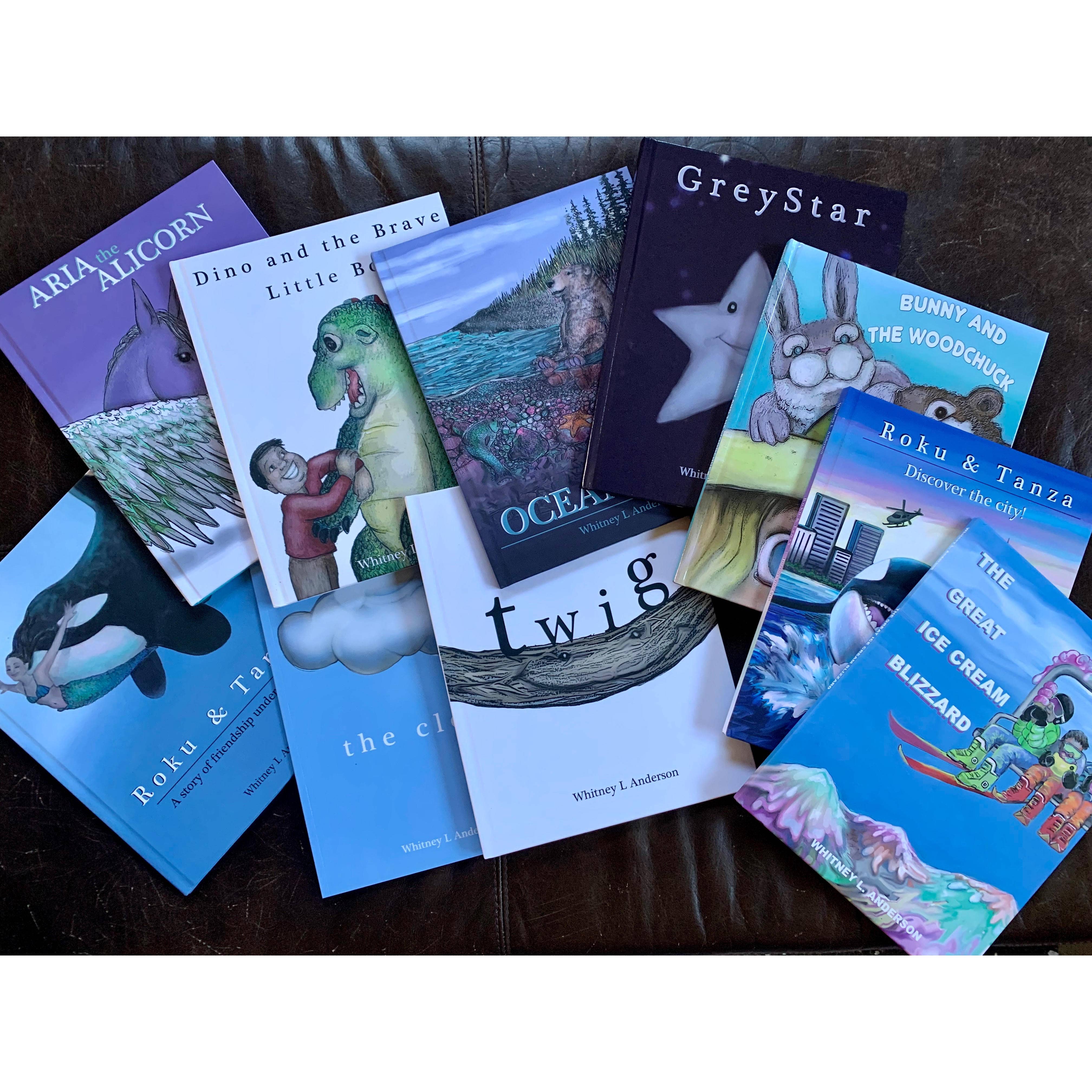 Whitney L. Anderson – Engroshandel Early Reader Book (6-8) – Den store is snestorm9