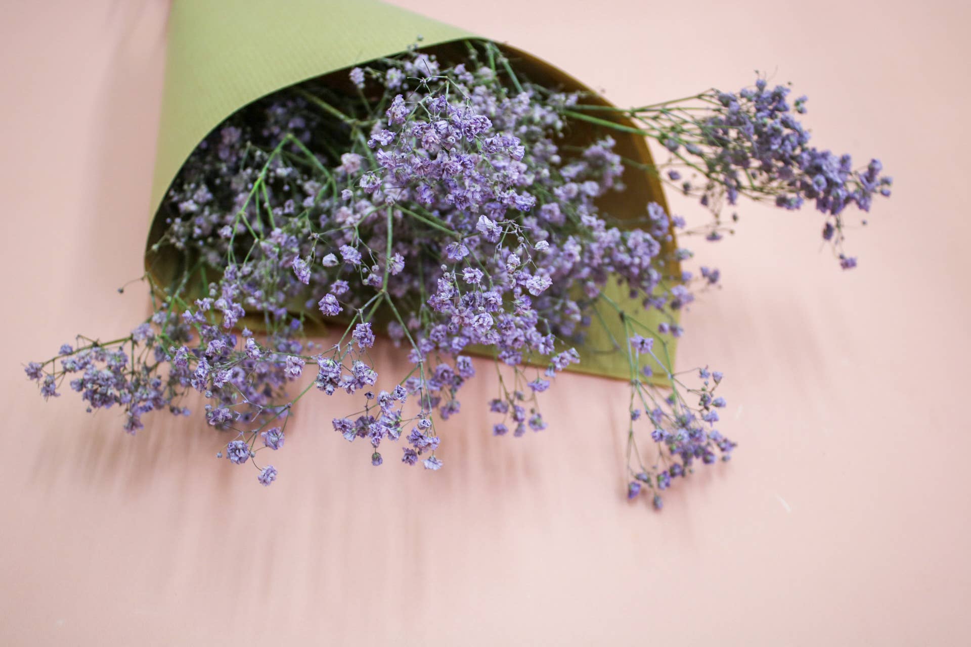 Wildestdreams.flowers - Wholesale Dried/Pressed Flowers - Dried Purple Gypsophila Baby's Breath flower bouquets 3