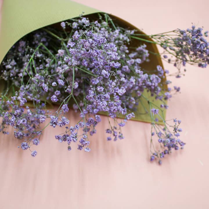 Wildestdreams.flowers - Wholesale Dried/Pressed Flowers - Dried Purple Gypsophila Baby's Breath flower bouquets 3