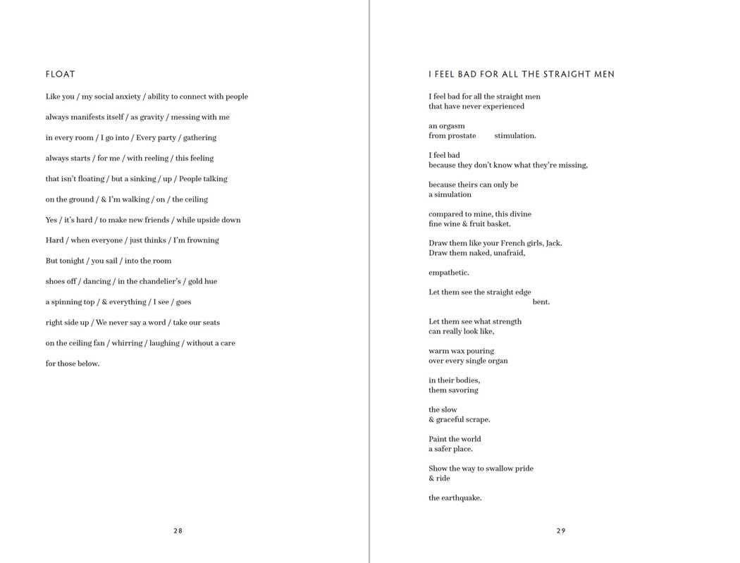 Simon & Schuster - Wholesale Poetry & Drama - What We Lost in the Swamp by Grant Chemidlin2