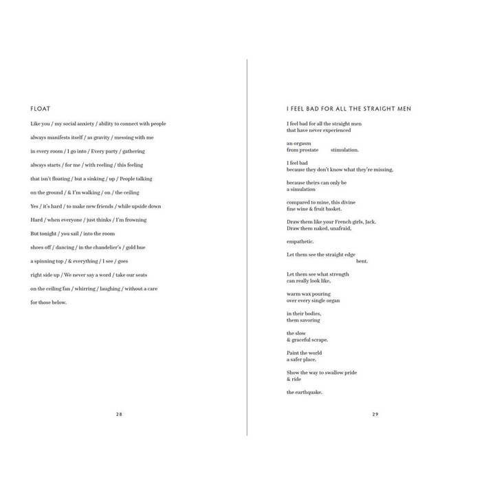 Simon & Schuster - Wholesale Poetry & Drama - What We Lost in the Swamp by Grant Chemidlin2