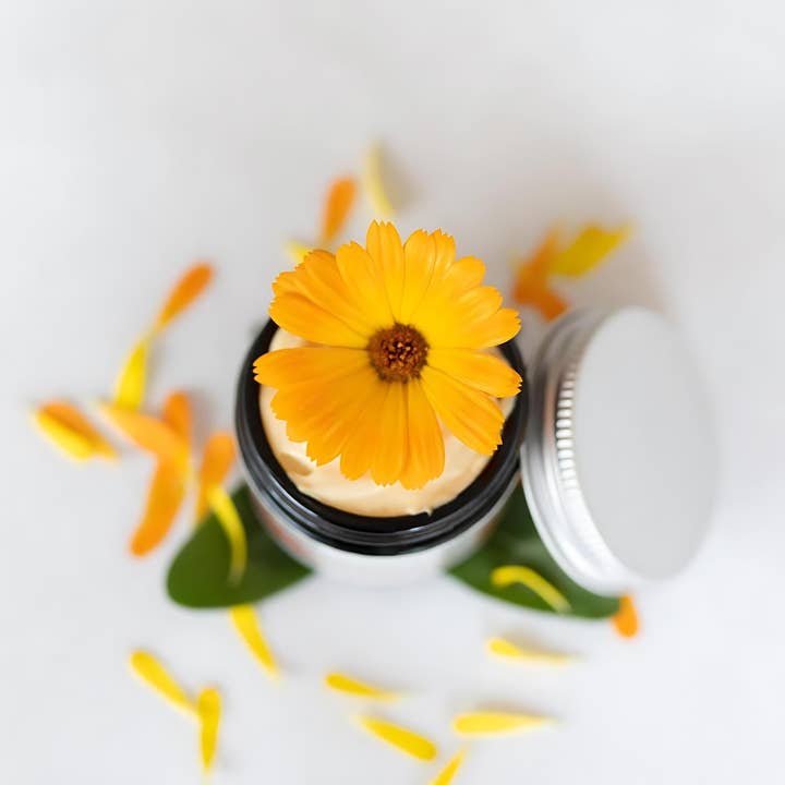 Four Elements Organic Herbals - Vendita all'ingrosso Crema idratante viso - Sembra bellissimo! Crema idratante - 2 oz4