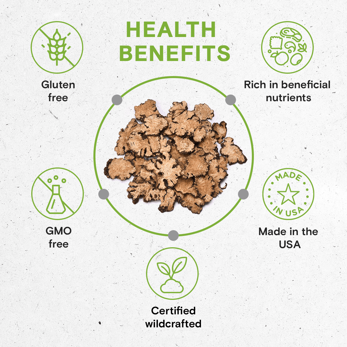 Secrets Of The Tribe - Wholesale Tincture - Osha Tincture8