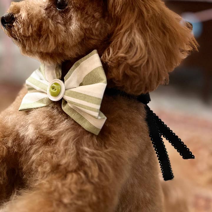 Cotton Collar for Pets - College Football for wholesale by Little Barks Boutique