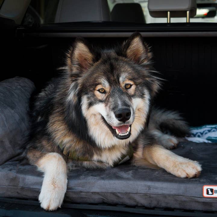 Barker Beds - Wholesale Pet Bed - Dog - Backseat Barker: SUV Edition11