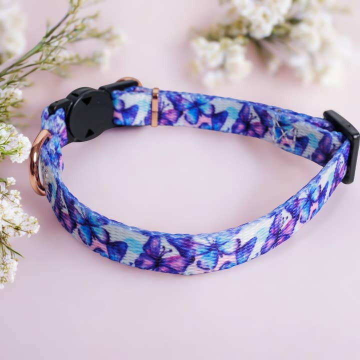 Dizzy Dog Collars - Wholesale Pet collar – Cat/dog - Butterfly Ballet Cat Collar | Toy Breed Dog Collar | Puppy Collar1