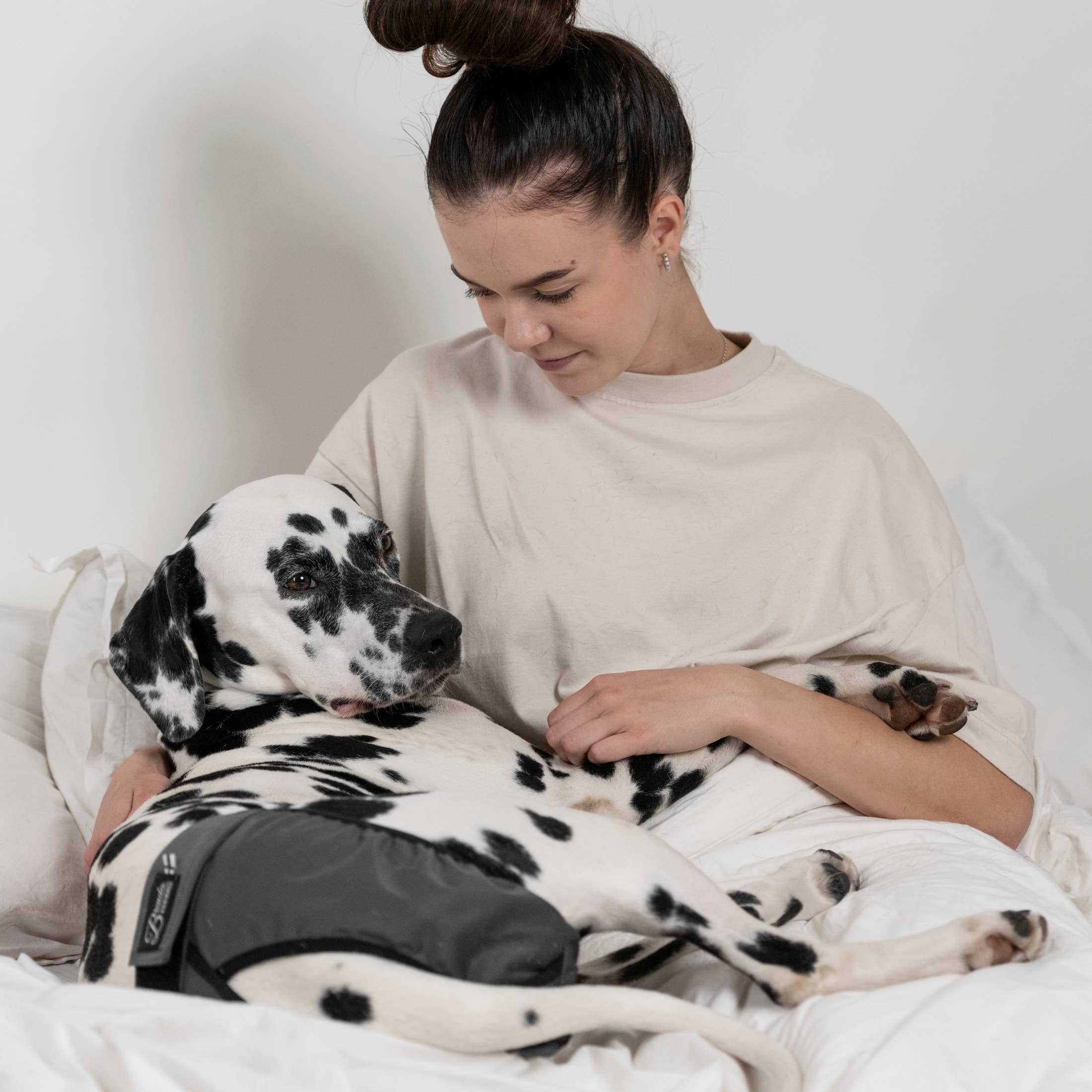 FINNERO - Wholesale Pet Diaper - Dog - FINNERO BRENDA Dog Hygiene pants, 3 colors, Washable Diaper18