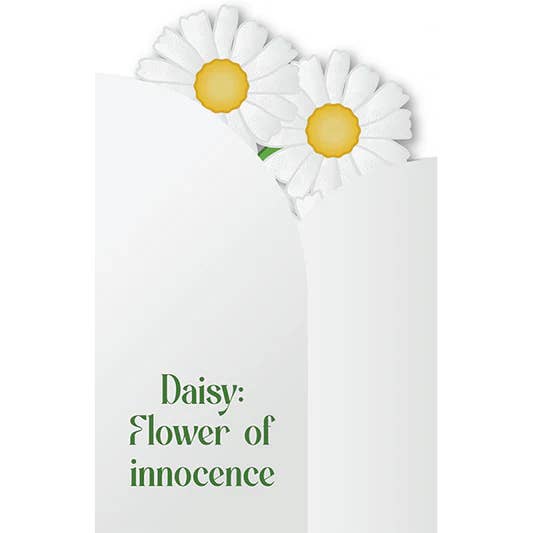 Cartões Recortados - Margarida - Flor da Inocência por atacado de The Gift Label