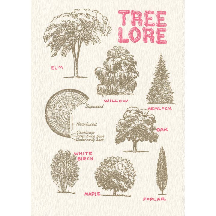 Saturn Press - Wholesale Everyday Greeting Card - Tree Lore