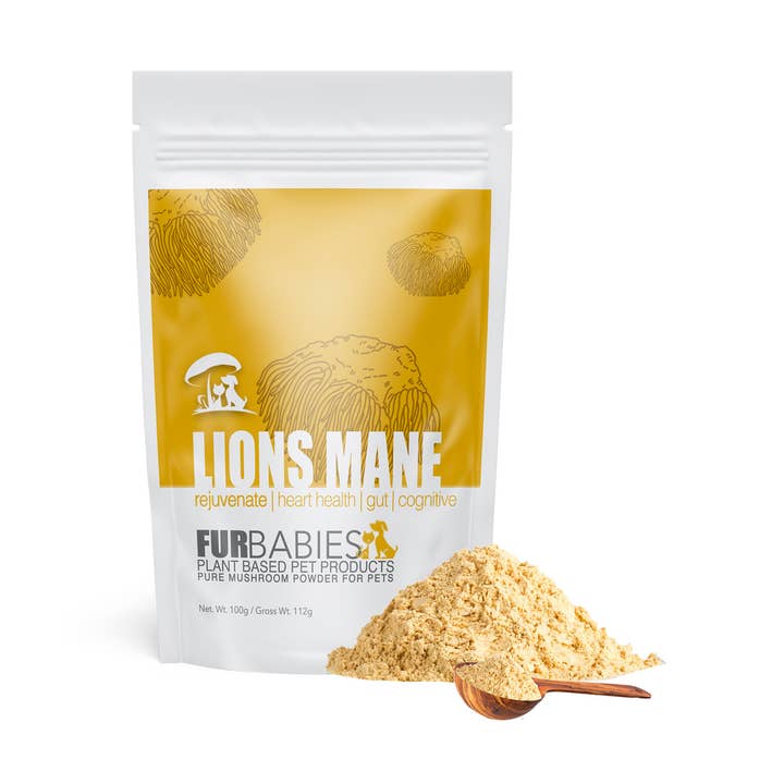 Lion’s Mane Mushroom Powder 100g or 50g bag for wholesale by FurBabies Pet Products