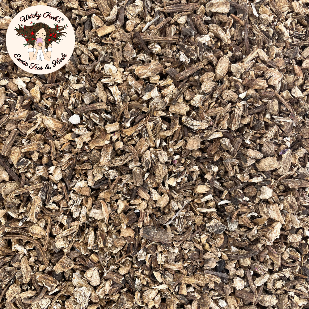 Witchy Pooh's Exotic Teas & Herbs – Chá solto por atacado – Chá de Angélica da Bruxa Pooh - Raiz Cortada e Peneirada, Espírito Santo15